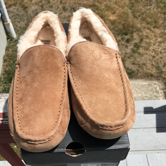 UGG Ascort Slippers - Picture 2 of 7